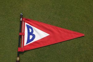 Belvedere Flag